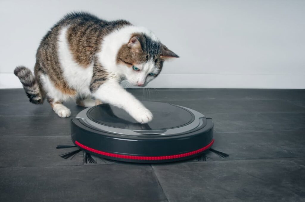 Katze schaltet Saugroboter aus