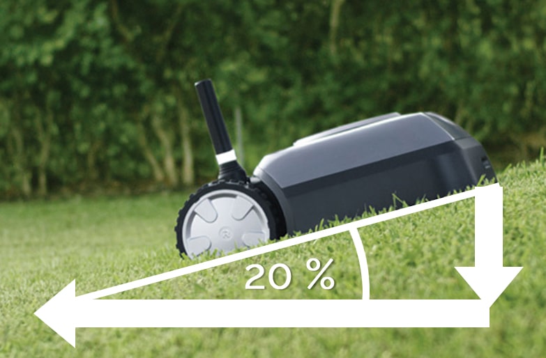 Volleyball Anspruchsvoll Maus oder Ratte 1