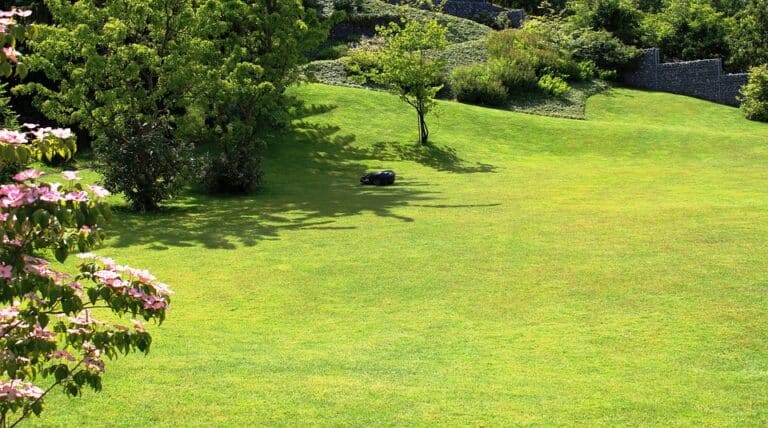 Rasen düngen bei Mähroboter-Einsatz: Was du beachten musst