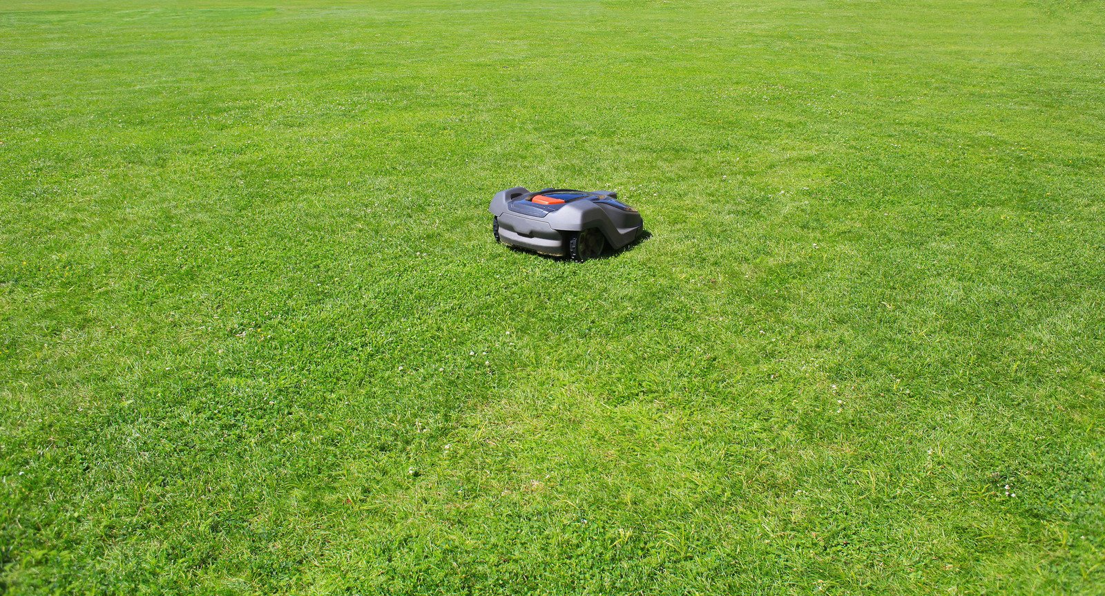 Wird der Rasen mit einem Mähroboter besser?